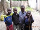 Ne sont t ils pas mignons?
