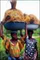 les femmes africaines